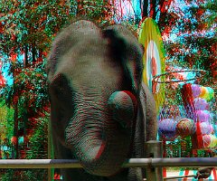 032 Elephant tour 10800963